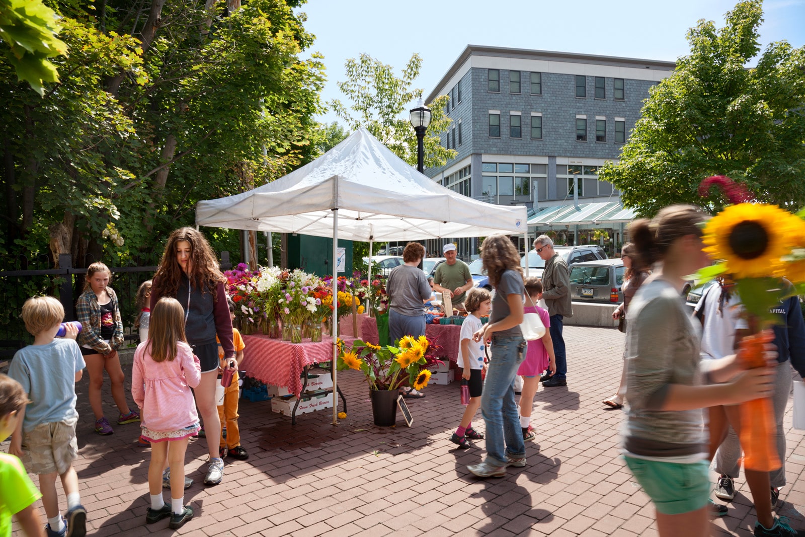 Co-op Plaza Redevelopment - Vermont Architects